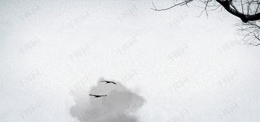 古代诗人生平背景,探寻唐代诗人杜甫的坎坷岁月